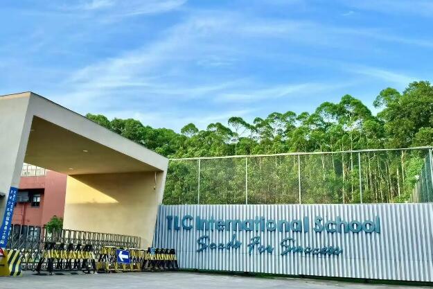 A-Level选课策略：为国际教育转型铺设成功之路